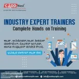 CADD Nest Web Desiging Training Institution