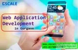 The Best Web Application Development Company in Gurgaon
