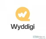 Wyddigi agency - best digital marketing agency in dhule