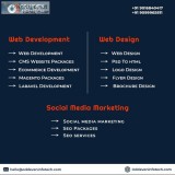 Looking for The Best Website Design and Development Company