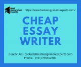 Cheap Essay Writer