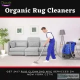 Professional Rug Cleaning Services In NY