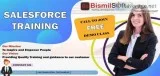 Best Salesforce Training In Delhi