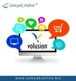 The best company to hire volusion experts