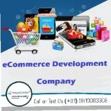 The best ecommerce development company
