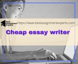 Cheap essay writer