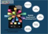 Various Services Provided By The Web Techno Experts