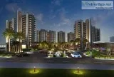 Signature global floors 37d