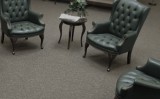 Reliable Carpet Cleaning Services Toledo  Steamextoledo.com