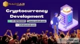 Cryptocurrency software platform development