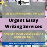 Urgent Essay Writing Services