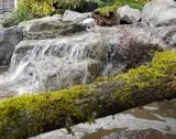 Fix Water Features at Your Home Outdoor to Add Beauty