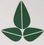 Cyber security company