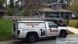 Pest Control in Marietta Ga