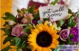 Getwell soon flowers north london