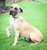 Penny Female Presa Conari