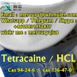 High purity 995% tetracaine base tetracaine hcl powder with good