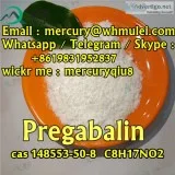 Low price high quality pregabalin powder pregabalin blocks prega