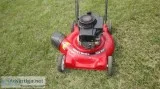 (Lawn Mowers) 20&rdquo Sentinel 3.5 Hp Briggs Easy-Start Lawnmow