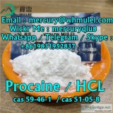Good supplier hot selling procaine base procaine powder procaine