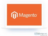 Magento ecommerce development agency in delhi