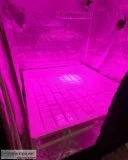 Active Aqua Flood Tray 4x4