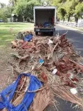 JUNK Removal