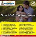 World famous astrologer in india | pandit mahendra astrologer