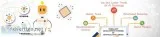 software development company  software development company in in