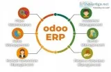 Hire Dedicated Odoo Developer