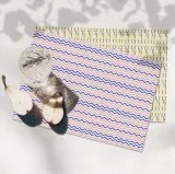 Top Designer Paper Placemats