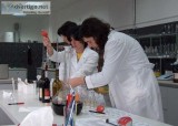 Global Food Safety Initiative Consultant