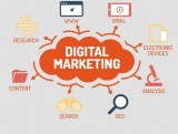 Seorises India - Leading Professional Digital Marketing Company 