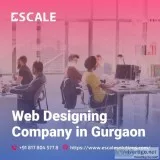 Expand your business with the best web designing company