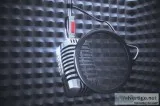 Telugu Voice Over Artists or Services in Delhi
