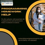 Programming Assignment Help  Programming Homework Help