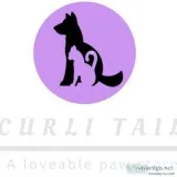 Dogs and Cats Collars and Leashes  Fashion Accessories  Pets  Cu