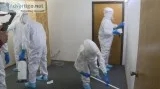 What is Mold Remediation