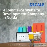 Expand your business with escale solutions
