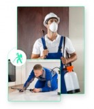 Pest Control Near Me  Thepestandtermitecom pany.com.au