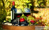 For the love of fine wine and success