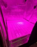 Active Aqua Flood Tables 4x4