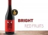 Son of a bull pinot noir 2019 | boutique wine