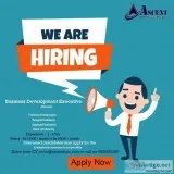 Business Development Executive- AscentBPO