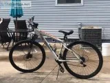 Mongoose bike