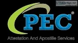Czech Translation services