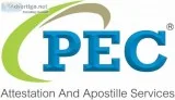 Portuguese Translation Services