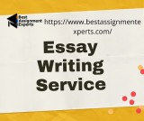 Essay Writing Service