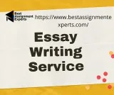 Essay Writing Service