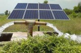 SunEdison Solar Irrigation Pump